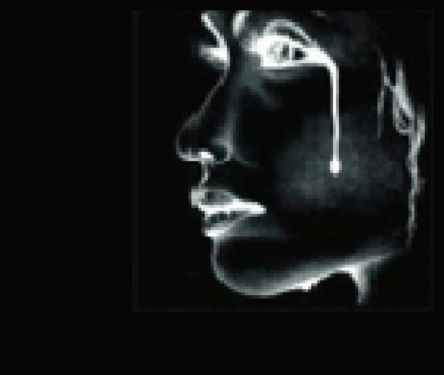 tear51.jpg